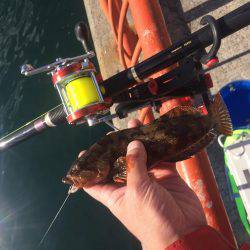 寒波で水温も急降下かな