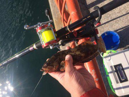 寒波で水温も急降下かな