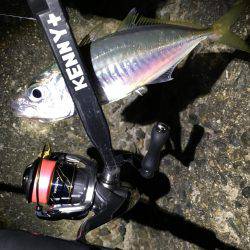 釣り初め、1投目からイキナリ…