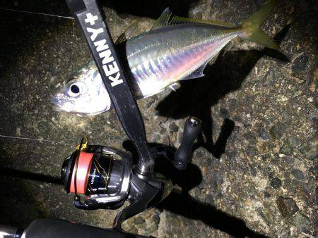 釣り初め、1投目からイキナリ…