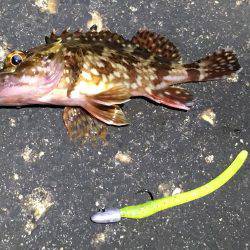 ライトゲームは楽しい。