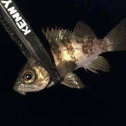 確実に鈍っている！