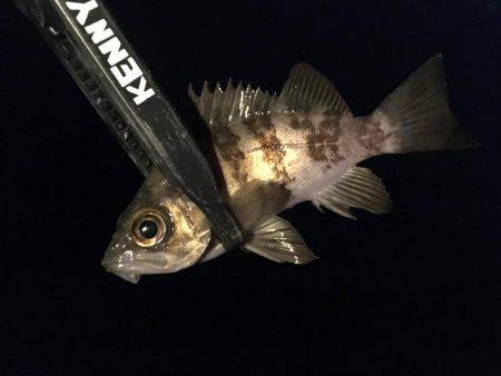 確実に鈍っている！