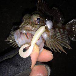 寒波 北西の風の中