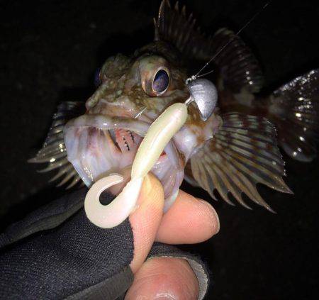 寒波 北西の風の中