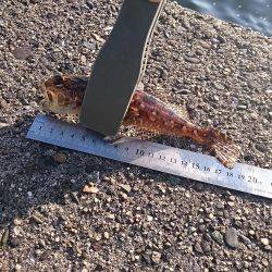 いつもの西大分港、赤灯台にて…