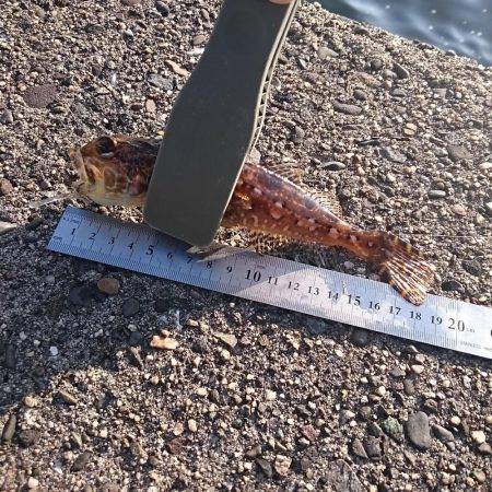 いつもの西大分港、赤灯台にて…