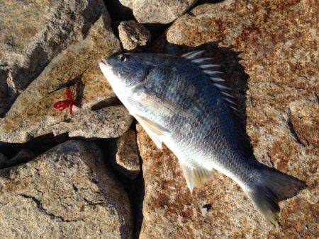 紀の川河口！熱かった！