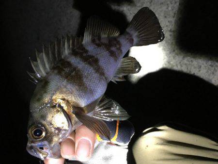 接待フィッシング