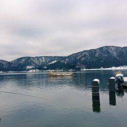 余呉湖 ワカサギ釣れてます♪