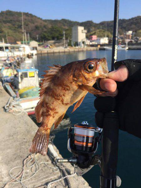 初釣り