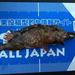 遠征！メバル調査(^.^)