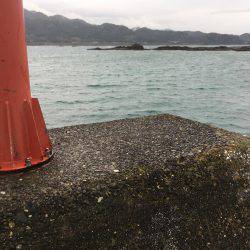 雨の中のメッキ釣り