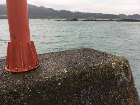 雨の中のメッキ釣り