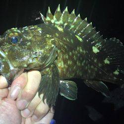 ナイスサイズ(^.^)