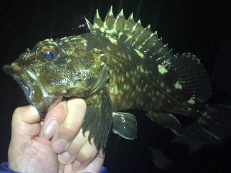 ナイスサイズ(^.^)