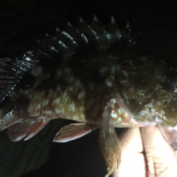 渋いなぁ〜(>_<)