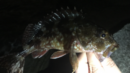 渋いなぁ〜(>_<)