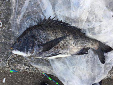 雪の降る中、フカセ釣り