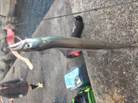 えー!この季節に!陸っぱりからタチウオ爆釣!