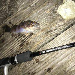 ライトゲーム（Fシステム）