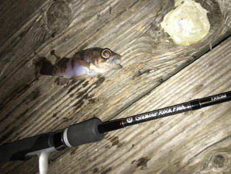 ライトゲーム（Fシステム）