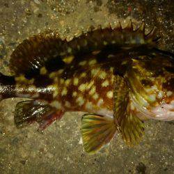 湾奥ロックゲーム！