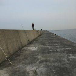 カレイリベンジ