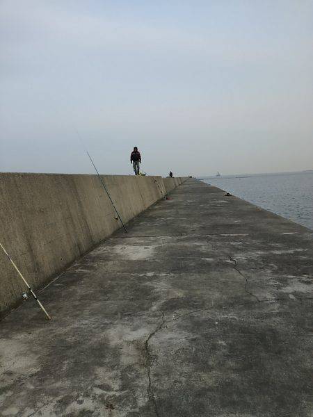 カレイリベンジ