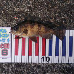 ミップル様周辺にて(笑)。