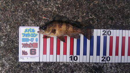 ミップル様周辺にて(笑)。