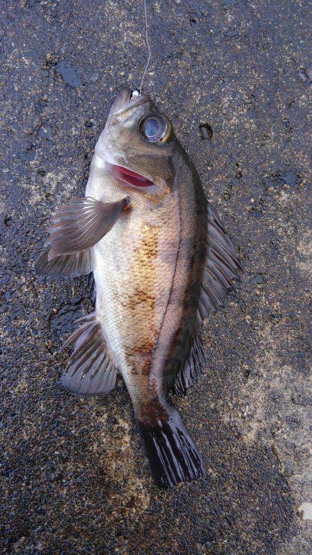 ミップル様周辺にて(笑)。