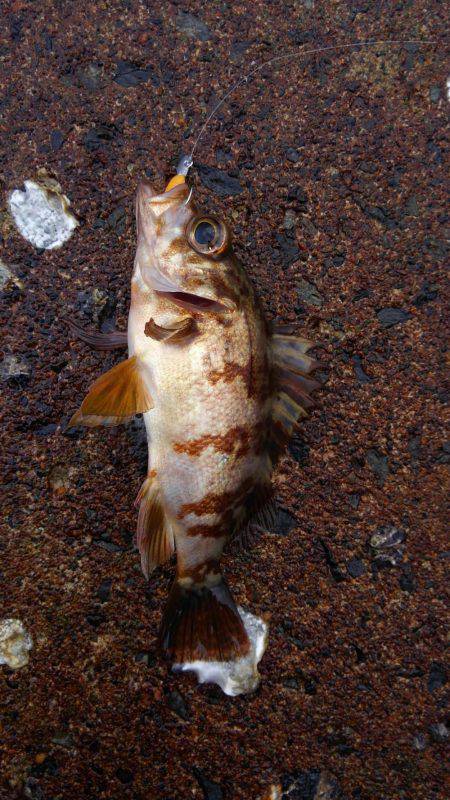 ミップル様周辺にて(笑)。