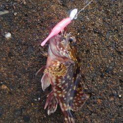 ミップル様周辺にて(笑)。