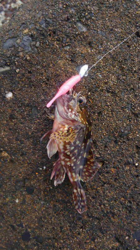 ミップル様周辺にて(笑)。