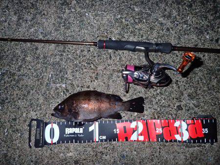 ボトムで爆釣！