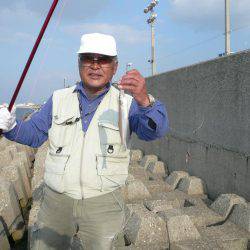 まだ釣れる東二見人工島のキス