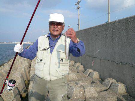 まだ釣れる東二見人工島のキス