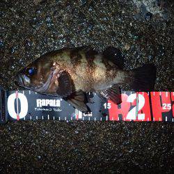 風＆ウネリに苦戦！