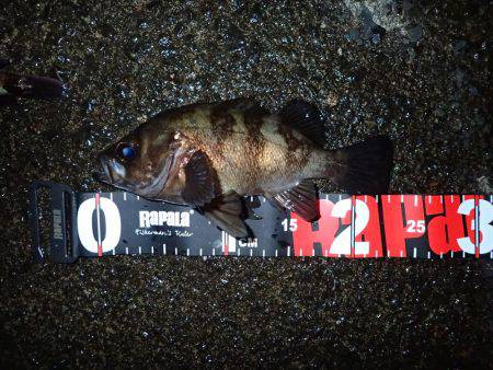 風＆ウネリに苦戦！