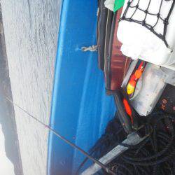 こんなん出ました・・・グレ・・サンコ・・・