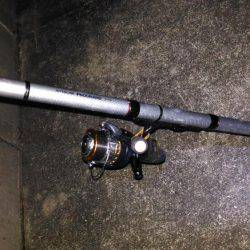 ヤエンでアオリイカ