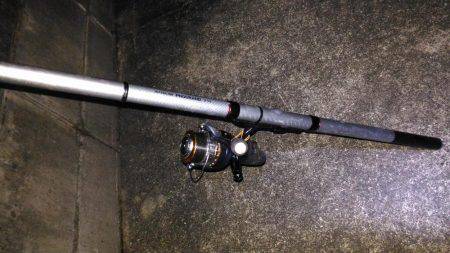 ヤエンでアオリイカ