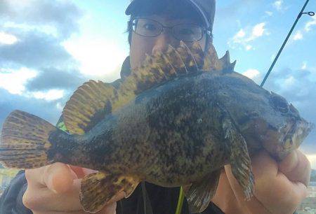 雪降りアナダート!