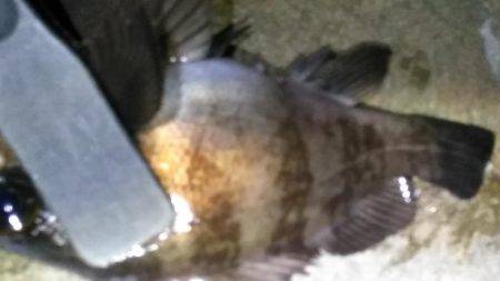 アミパターン攻略