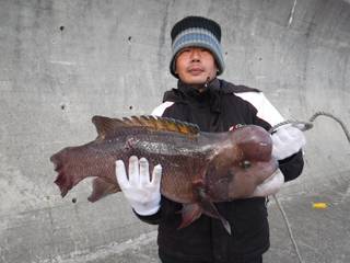 コブダイ（記録賞） 	73.1㎝ 	1尾