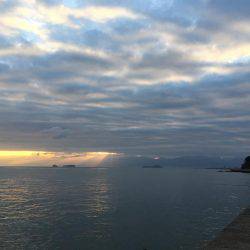 カワハギと遊ぶ