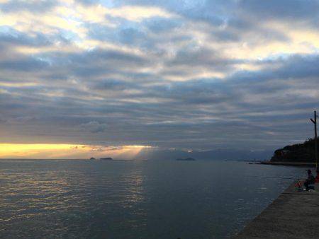 カワハギと遊ぶ