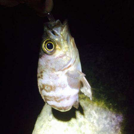 フロートリグで