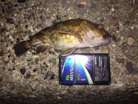 寒さは緩みましたが…